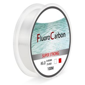 100 Meter Competitive Silk Nylon Fishing Line (Option: Transparent-6.0)